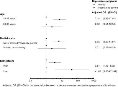 Loneliness and depressive symptoms among men who have sex with men in China: A cross-sectional study